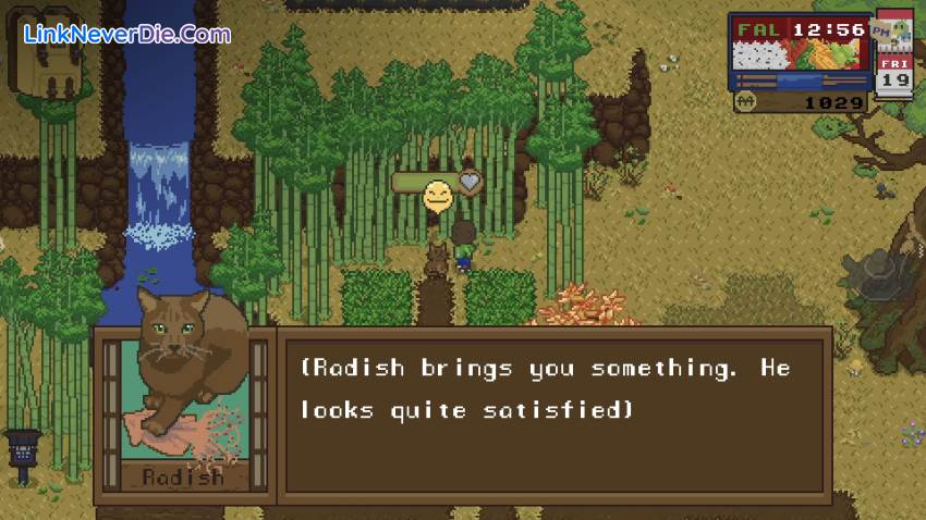 Hình ảnh trong game Spirittea (screenshot) Hình ảnh trong game Spirittea (screenshot)