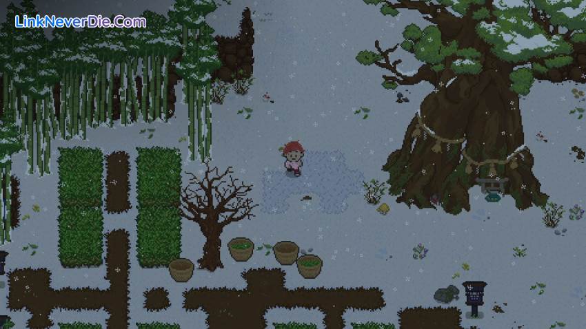 Hình ảnh trong game Spirittea (screenshot)