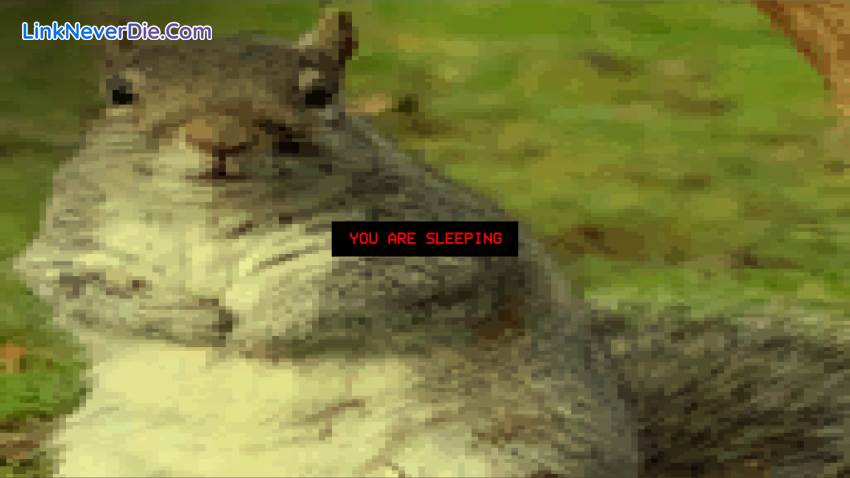 Hình ảnh trong game Squirrel Stapler (screenshot)