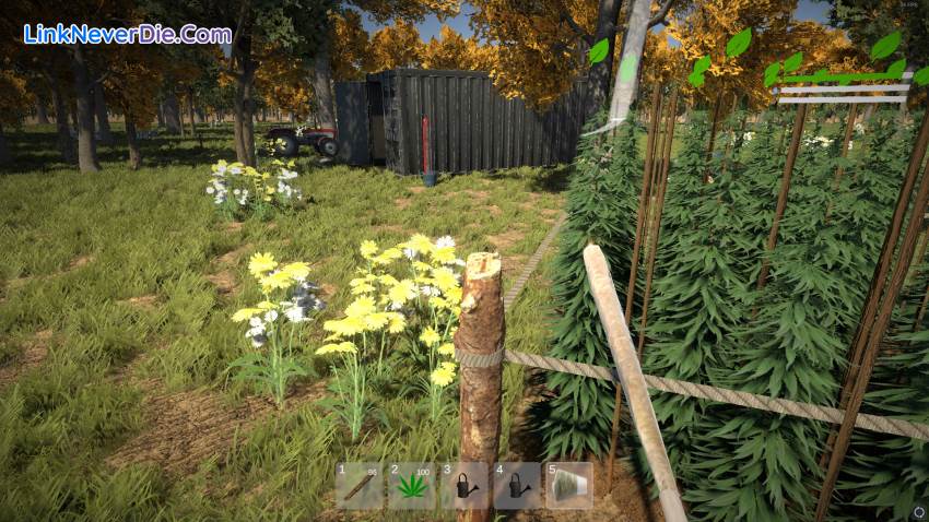 Hình ảnh trong game Weed Farmer Simulator (screenshot) Hình ảnh trong game Weed Farmer Simulator (screenshot)