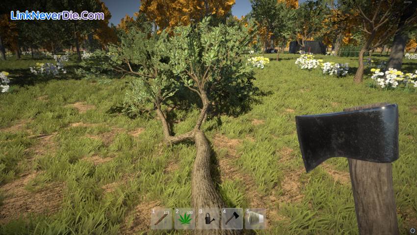 Hình ảnh trong game Weed Farmer Simulator (screenshot) Hình ảnh trong game Weed Farmer Simulator (screenshot)