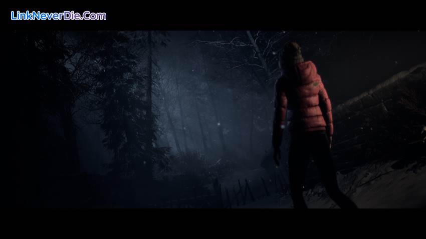 Hình ảnh trong game Until Dawn (screenshot)