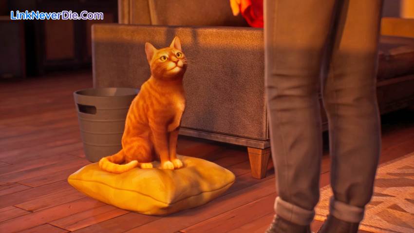 Hình ảnh trong game Life is Strange: Double Exposure (screenshot) Hình ảnh trong game Life is Strange: Double Exposure (screenshot)