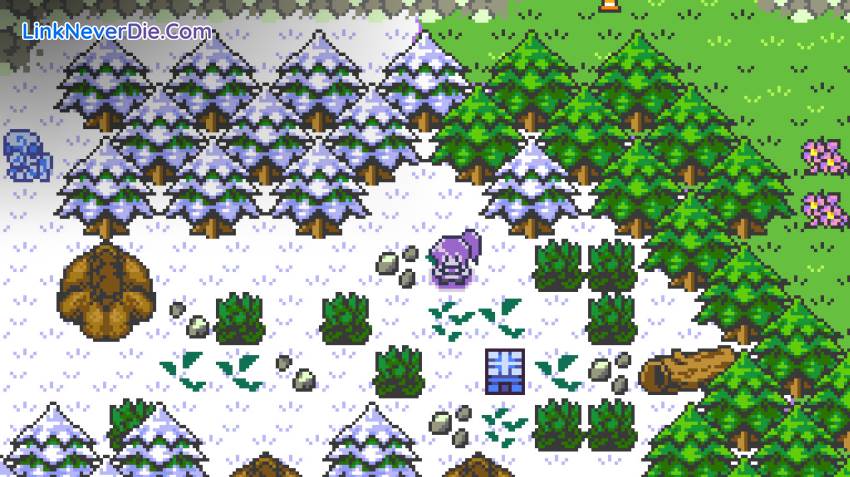 Hình ảnh trong game Dokimon: Quest (screenshot) Hình ảnh trong game Dokimon: Quest (screenshot)