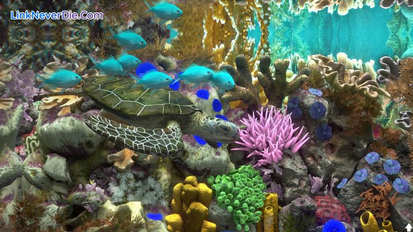 Hình ảnh trong game Behind Glass: Aquarium Simulator (screenshot) Hình ảnh trong game Behind Glass: Aquarium Simulator (screenshot)