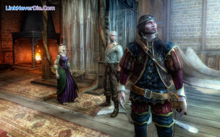 Hình ảnh trong game The Witcher: Enhanced Edition (screenshot)