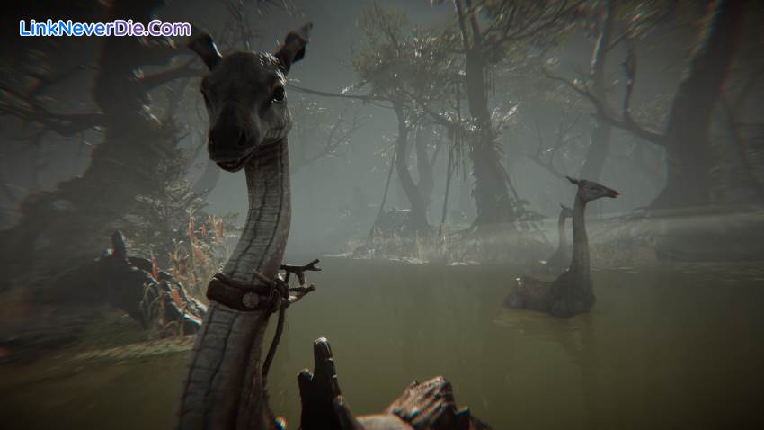 Hình ảnh trong game Amerzone - The Explorer's Legacy (screenshot) Hình ảnh trong game Amerzone - The Explorer's Legacy (screenshot)