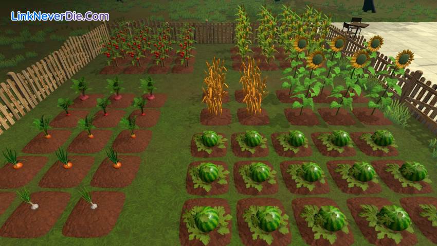 Hình ảnh trong game Farming & Supermarket Simulator (screenshot) Hình ảnh trong game Farming & Supermarket Simulator (screenshot)
