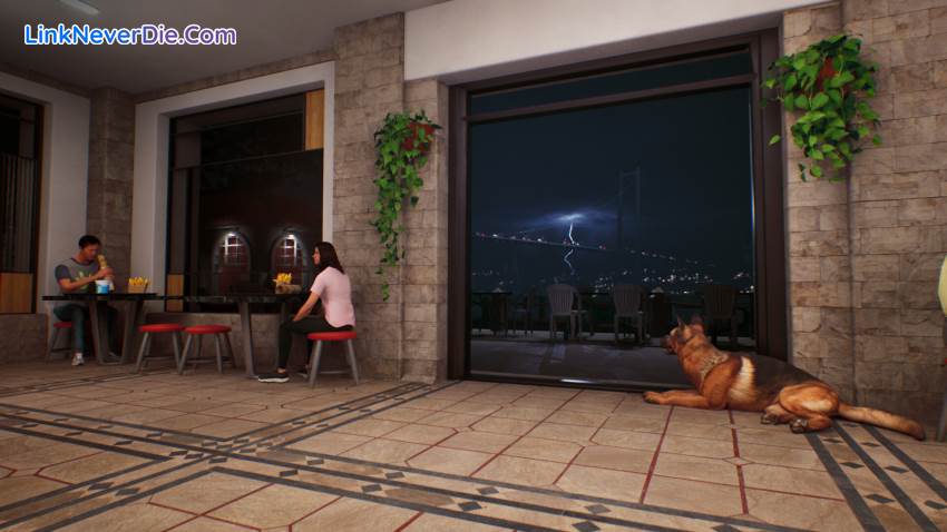Hình ảnh trong game Wrap House Simulator (screenshot) Hình ảnh trong game Wrap House Simulator (screenshot)