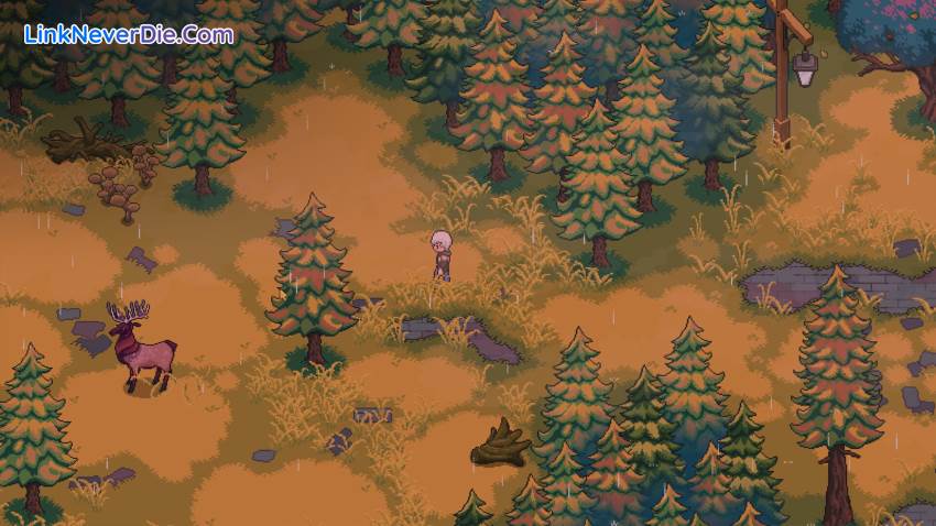 Hình ảnh trong game Chef RPG (screenshot) Hình ảnh trong game Chef RPG (screenshot)