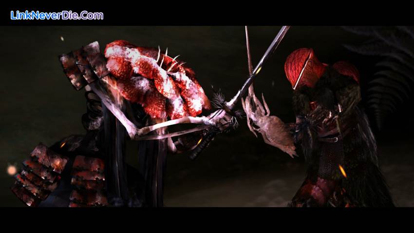 Hình ảnh trong game Perennial Order (screenshot) Hình ảnh trong game Perennial Order (screenshot)
