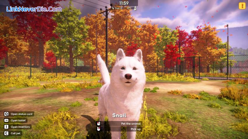 Hình ảnh trong game Animal Shelter 2 (screenshot) Hình ảnh trong game Animal Shelter 2 (screenshot)