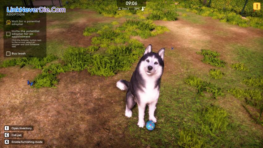 Hình ảnh trong game Animal Shelter 2 (screenshot) Hình ảnh trong game Animal Shelter 2 (screenshot)