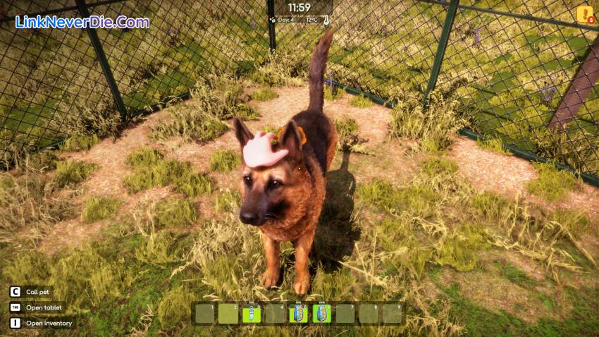 Hình ảnh trong game Animal Shelter 2 (screenshot) Hình ảnh trong game Animal Shelter 2 (screenshot)