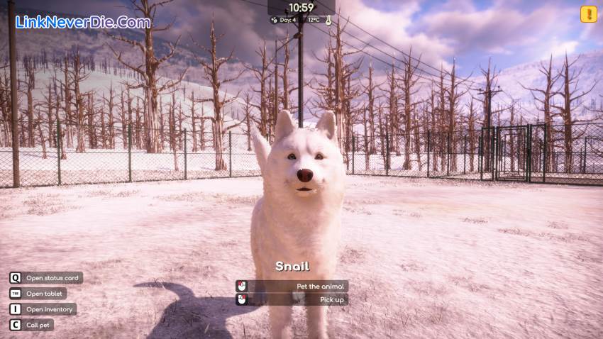 Hình ảnh trong game Animal Shelter 2 (screenshot) Hình ảnh trong game Animal Shelter 2 (screenshot)