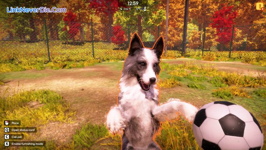 Hình ảnh trong game Animal Shelter 2 (screenshot) Hình ảnh trong game Animal Shelter 2 (screenshot)