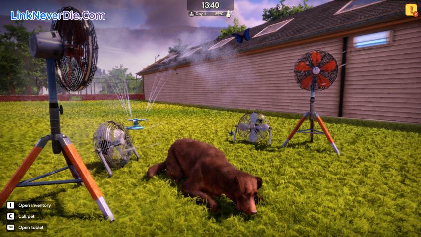 Hình ảnh trong game Animal Shelter 2 (screenshot) Hình ảnh trong game Animal Shelter 2 (screenshot)