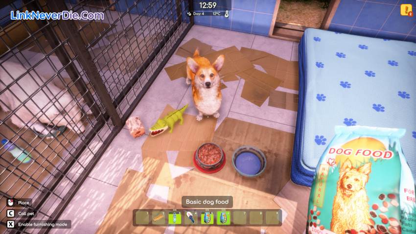 Hình ảnh trong game Animal Shelter 2 (screenshot) Hình ảnh trong game Animal Shelter 2 (screenshot)