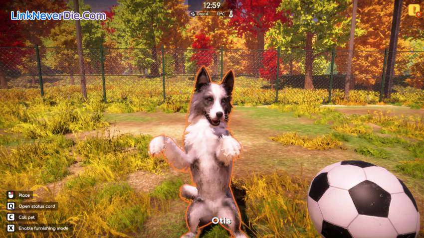 Hình ảnh trong game Animal Shelter 2 (screenshot) Hình ảnh trong game Animal Shelter 2 (screenshot)