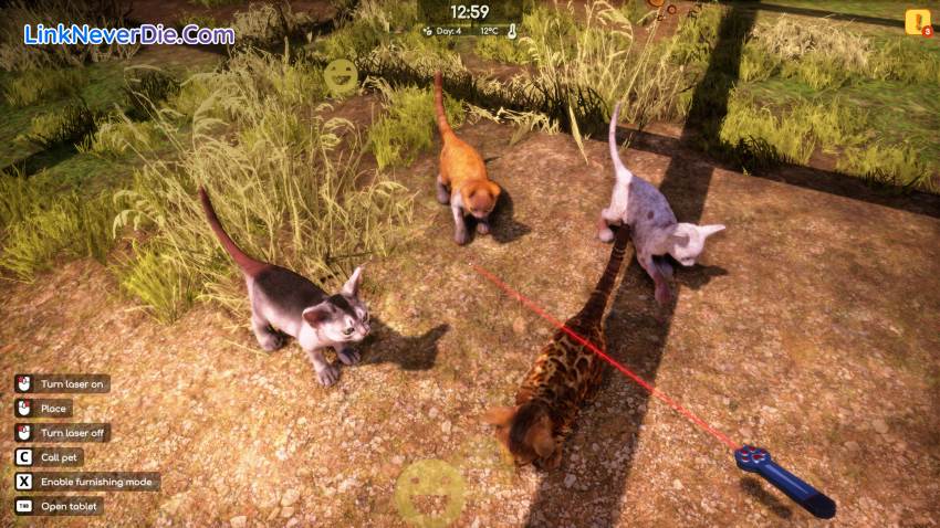 Hình ảnh trong game Animal Shelter 2 (screenshot) Hình ảnh trong game Animal Shelter 2 (screenshot)