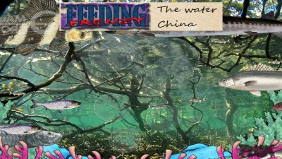 Feeding Frenzy - The water China