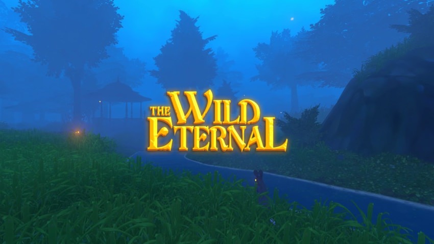 The Wild Eternal cover