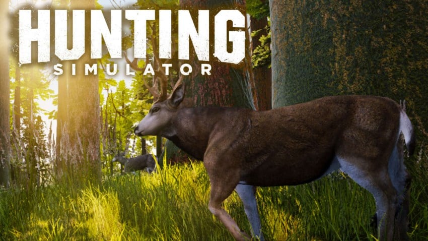 Hunting Simulator cover