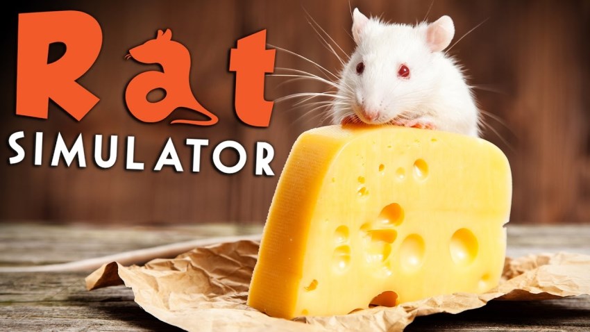 rat simulator game free download