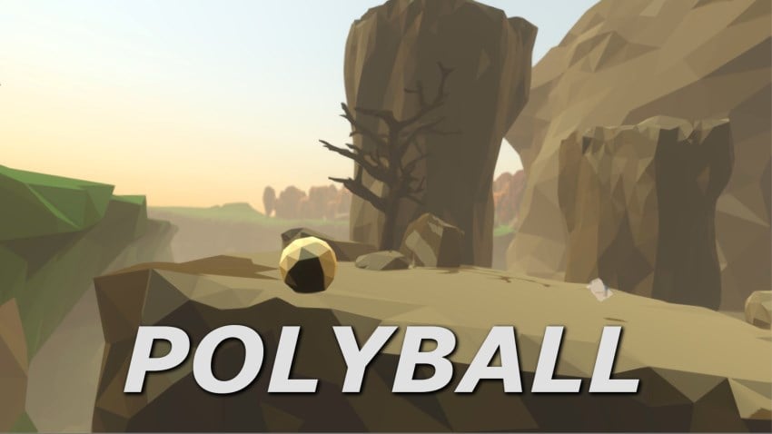 Polyball cover