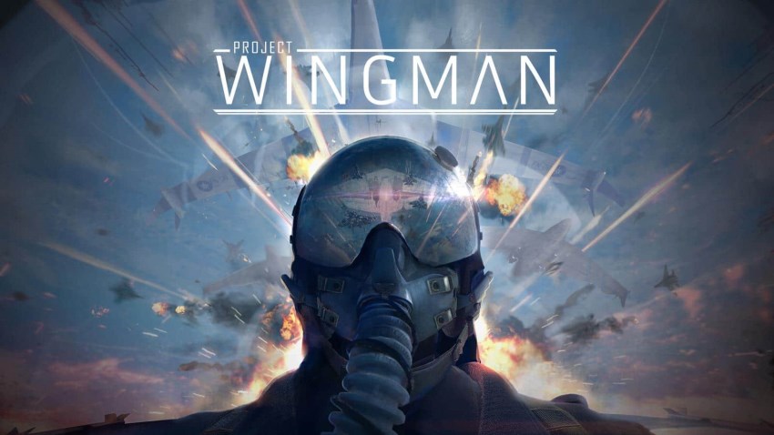 Project Wingman cover