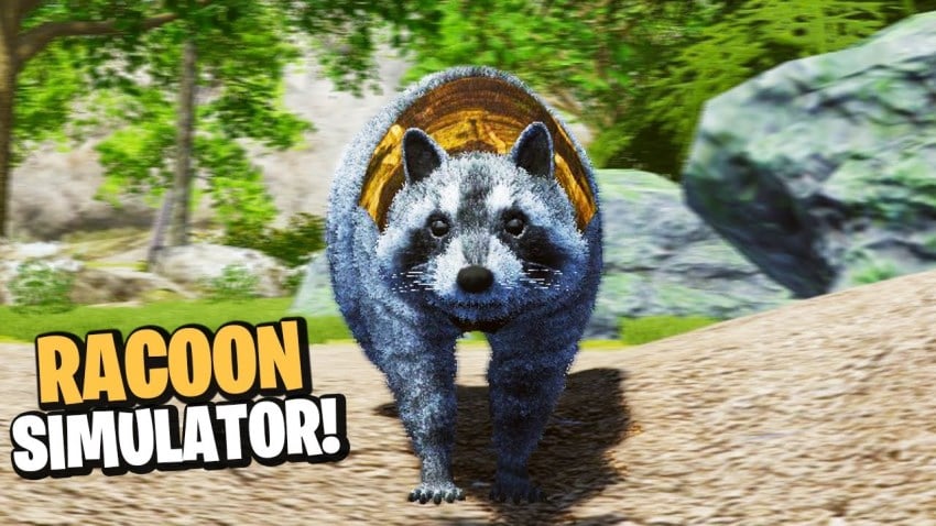 Wanted Raccoon cover