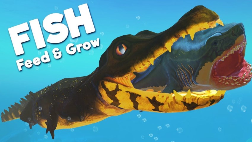feed and grow fish nintendo switch