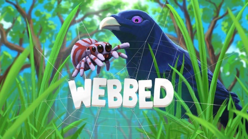 Webbed cover