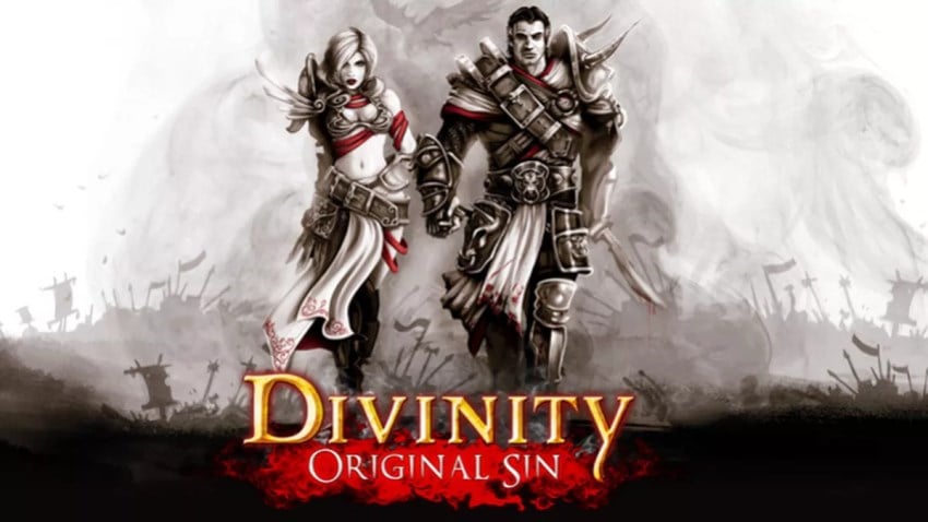 Divinity: Original Sin cover