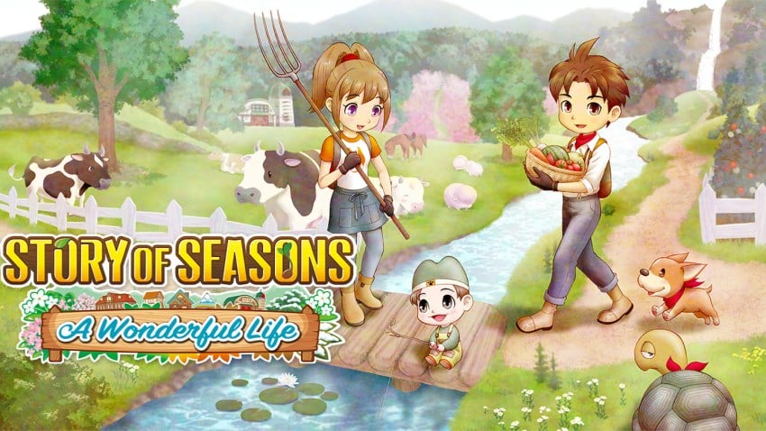 STORY OF SEASONS: A Wonderful Life cover
