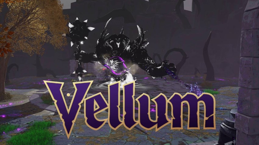 Vellum cover