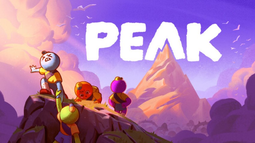 PEAK cover PEAK cover