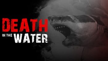 Loạt game Death in the Water